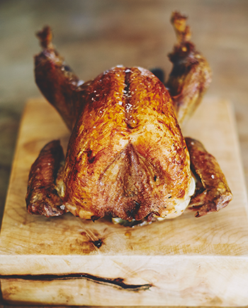 Extra Small KellyBronze