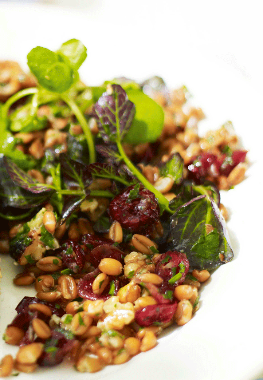 Turkey slices with spelt, watercress and dried cranberry salsa